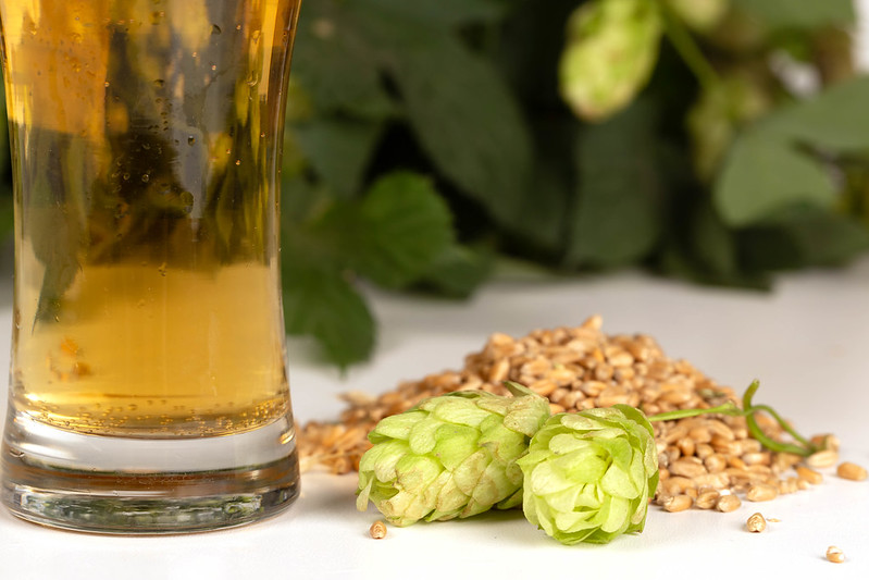 Pint of beer pictured next to hops and grains