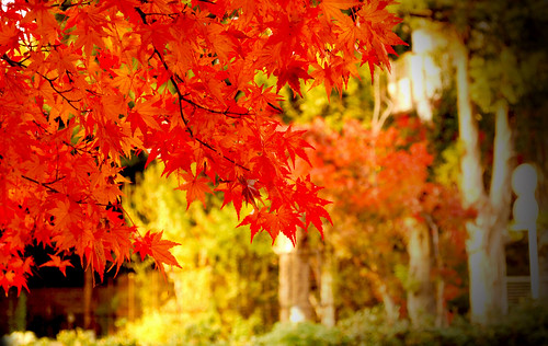 scenic drives near centerville, oh