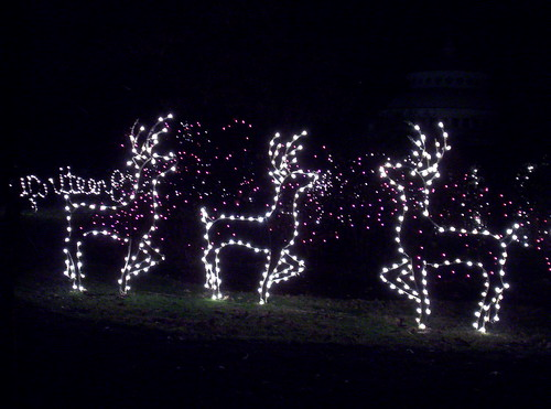 places to celebrate the holidays in cincinnati, oh