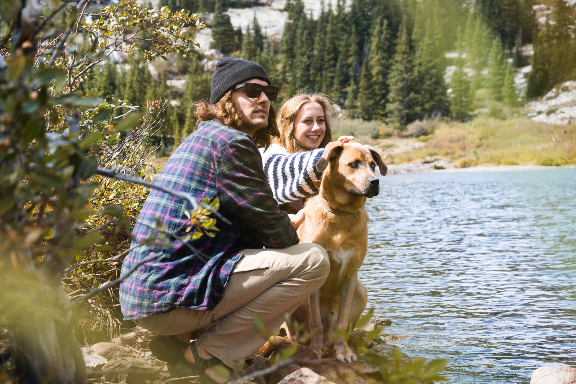 Couple with dog by a river on a sunny day hike