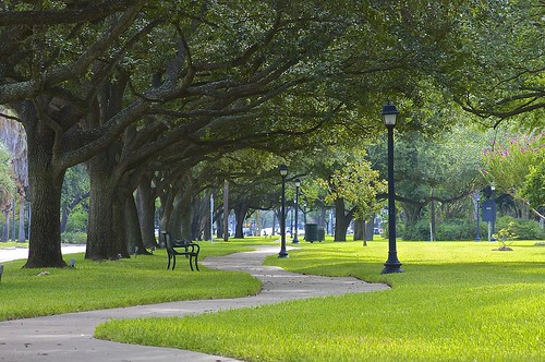 A beautiful walking path through the middle of Paseo Park.