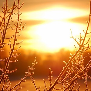 The winter solstice proves that, even though the ground is covered with snow, the sun will continue to rise.
