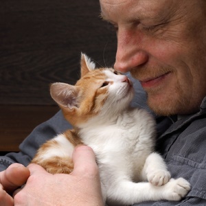 Soothing sounds like a cat's purr can provide healing benefits.
